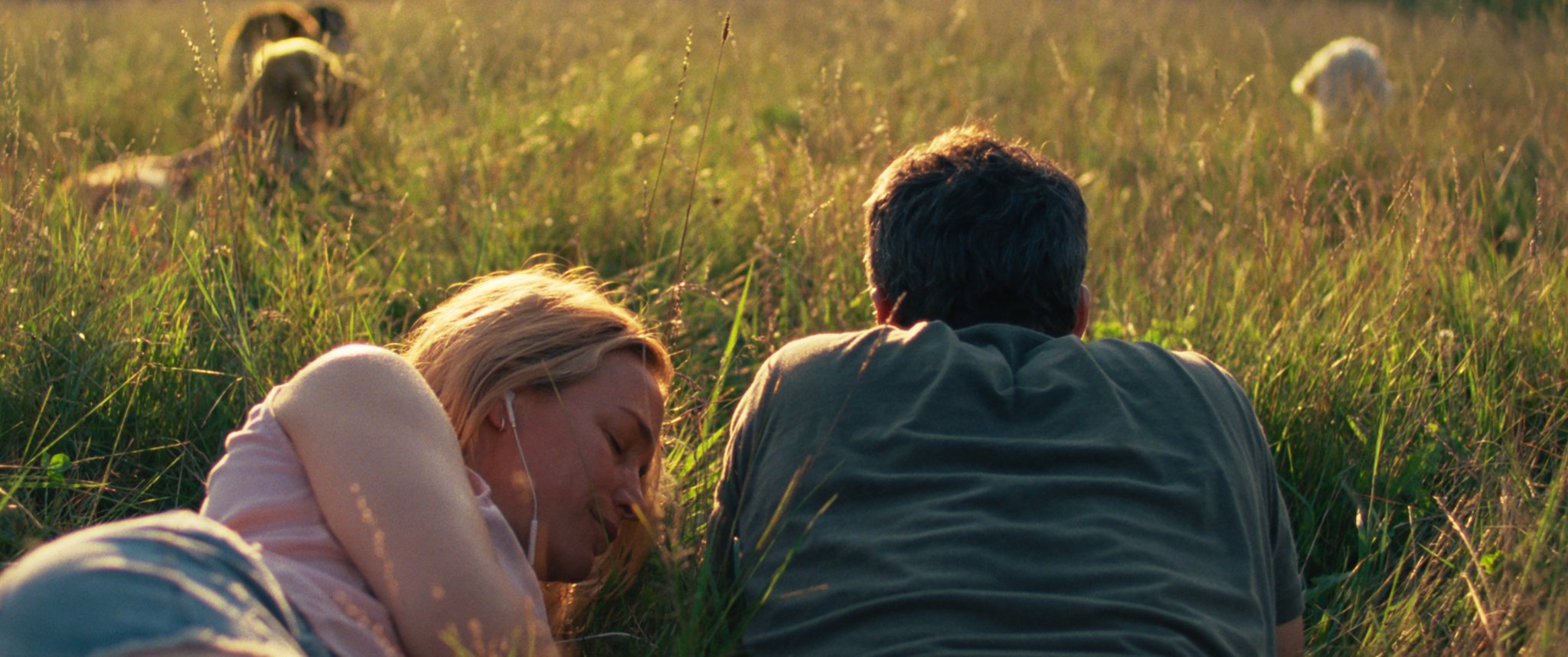 Miłość w czasach apokalipsy